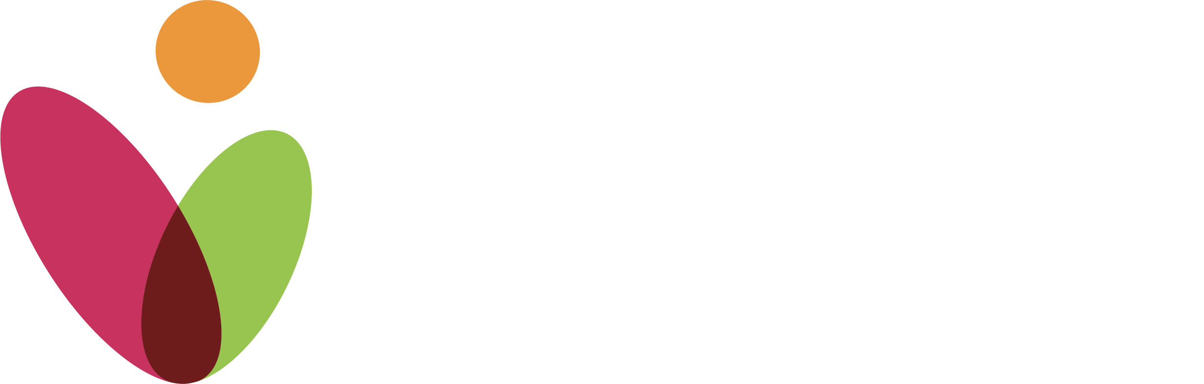 Vonix